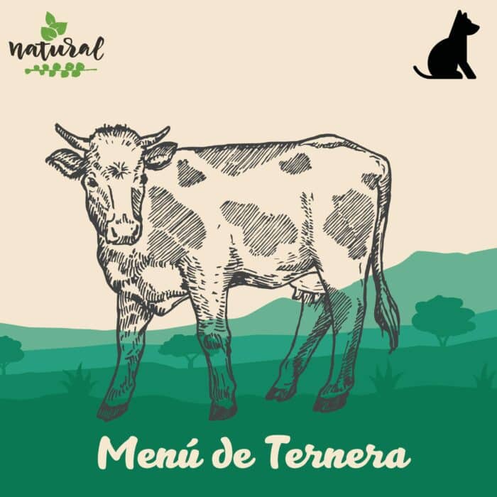 menu-ternera-para-perros-petkis-barf