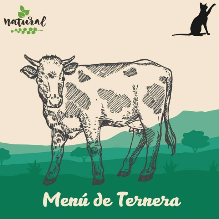 menu-ternera-para-gatos-petkis-barf