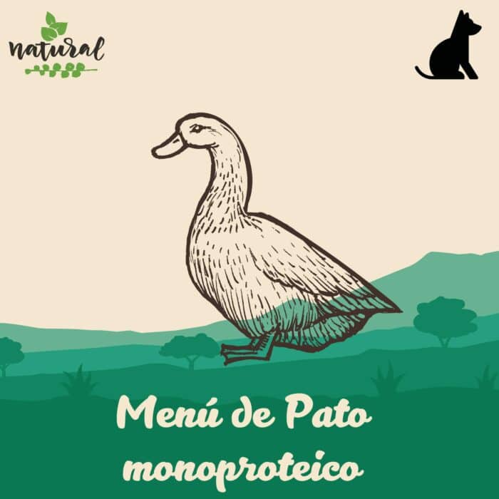 menu-pato-monoproteico-para-perros-petkis-barf