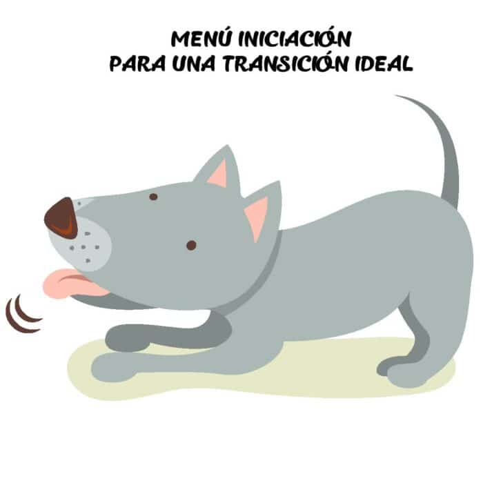 MENÚ-INICIACIÓN-para-perro-petkis-barf