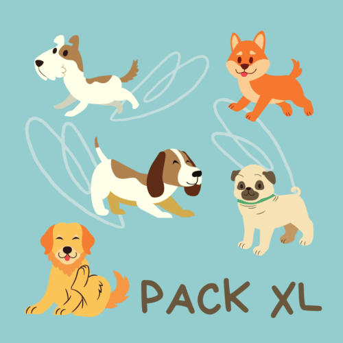 PackXL-menus-barf-perros-petkis-barf