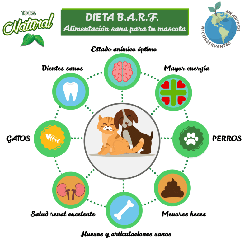 infografia-beneficio-dieta-BARF-perros-gatos-petkis-barf