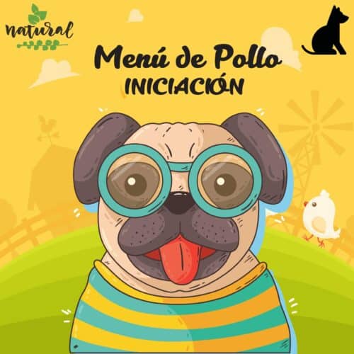 menu-pollo-transicion-para-perros-petkis-barf