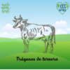 traqueas-de-ternera-petkis-articulaciones-perros-gatos-barf