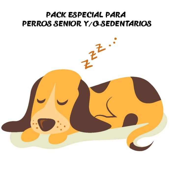 pack-senior-perros-comida-petkis-barf