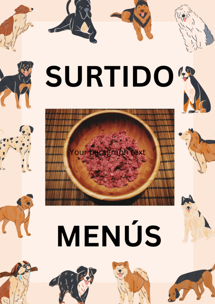 Surtido-menus-barf-perros-petkis-barf