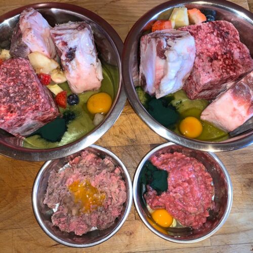 menu-caseros-para-perros-petkis-barf