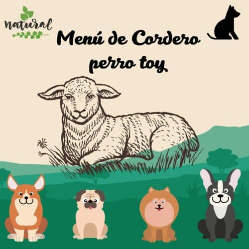 menu-cordero-para-perros-toy-petkis-barf