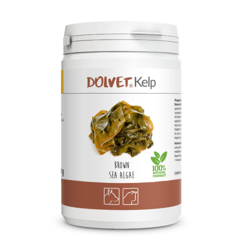 DOLVET-Kelp-suplemento-natural-iodo-tiroides-para-perro-para-gato-barf-petkis