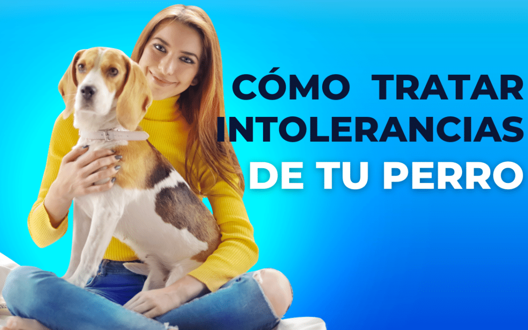 Intolerancias alimentarias en perros y gatos