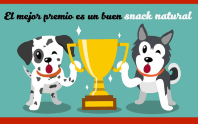 Snack natural para perros- PETKIS