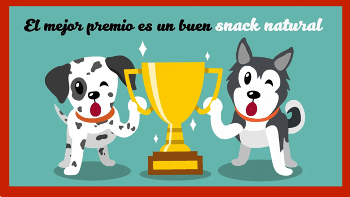 Snack natural para perros- PETKIS