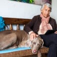 Bienestar de Perros Senior: La Guía Definitiva para una Dieta Natural y Saludable