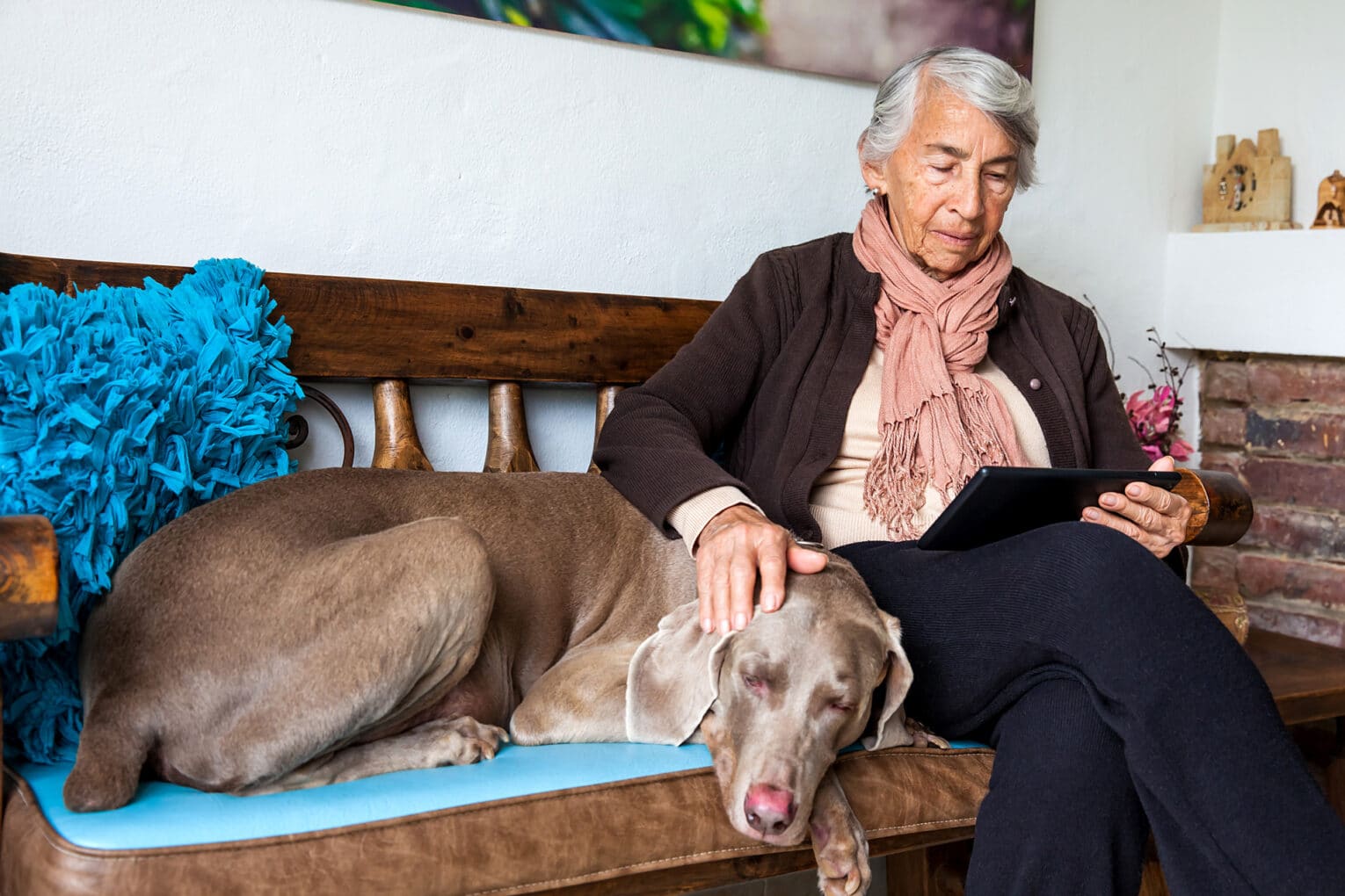 Bienestar de Perros Senior: La Guía Definitiva para una Dieta Natural y Saludable 2 Bienestar de Perros Senior: La Guía Definitiva para una Dieta Natural y Saludable