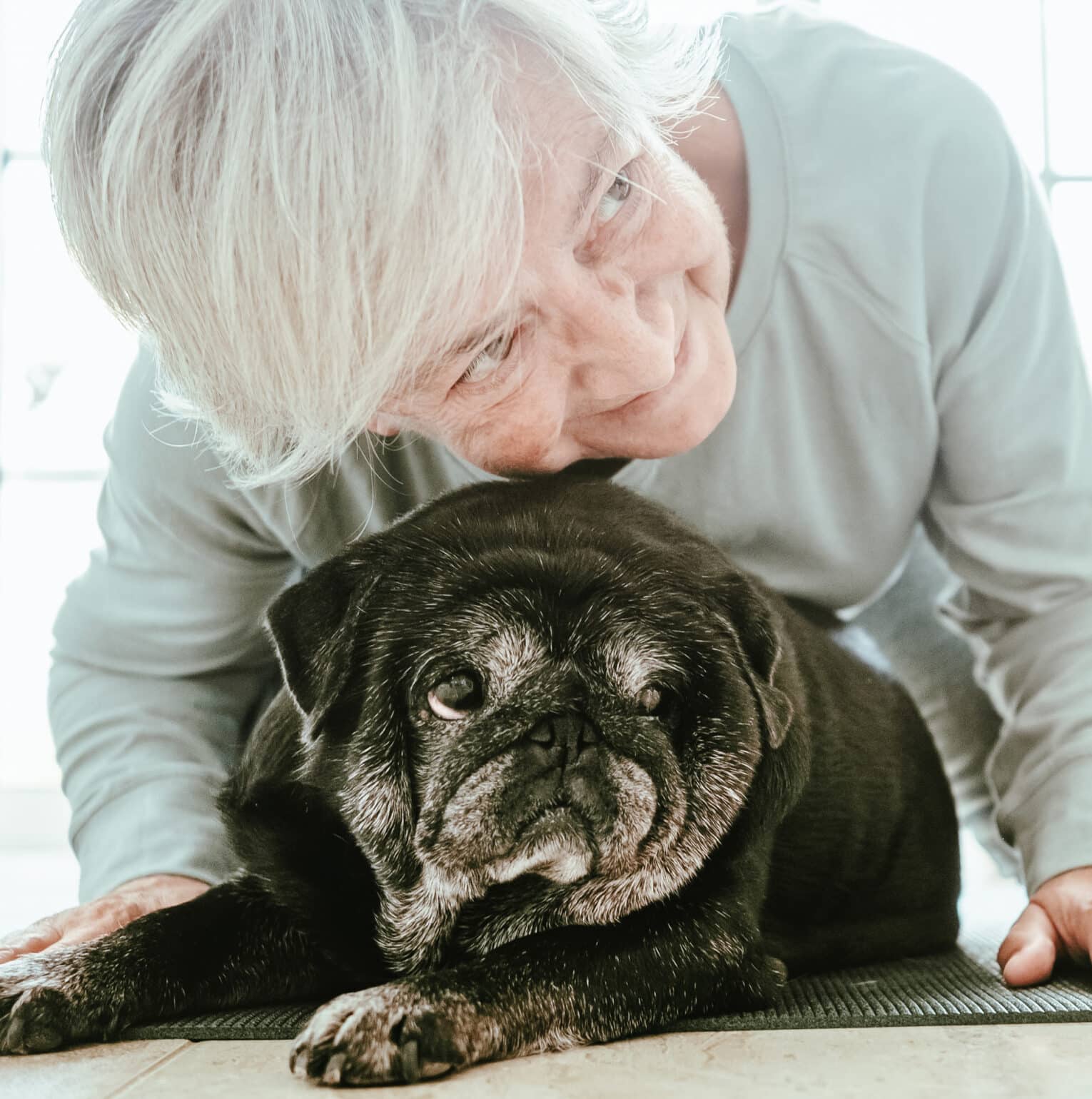 Bienestar de Perros Senior: La Guía Definitiva para una Dieta Natural y Saludable 1 Bienestar de Perros Senior: La Guía Definitiva para una Dieta Natural y Saludable