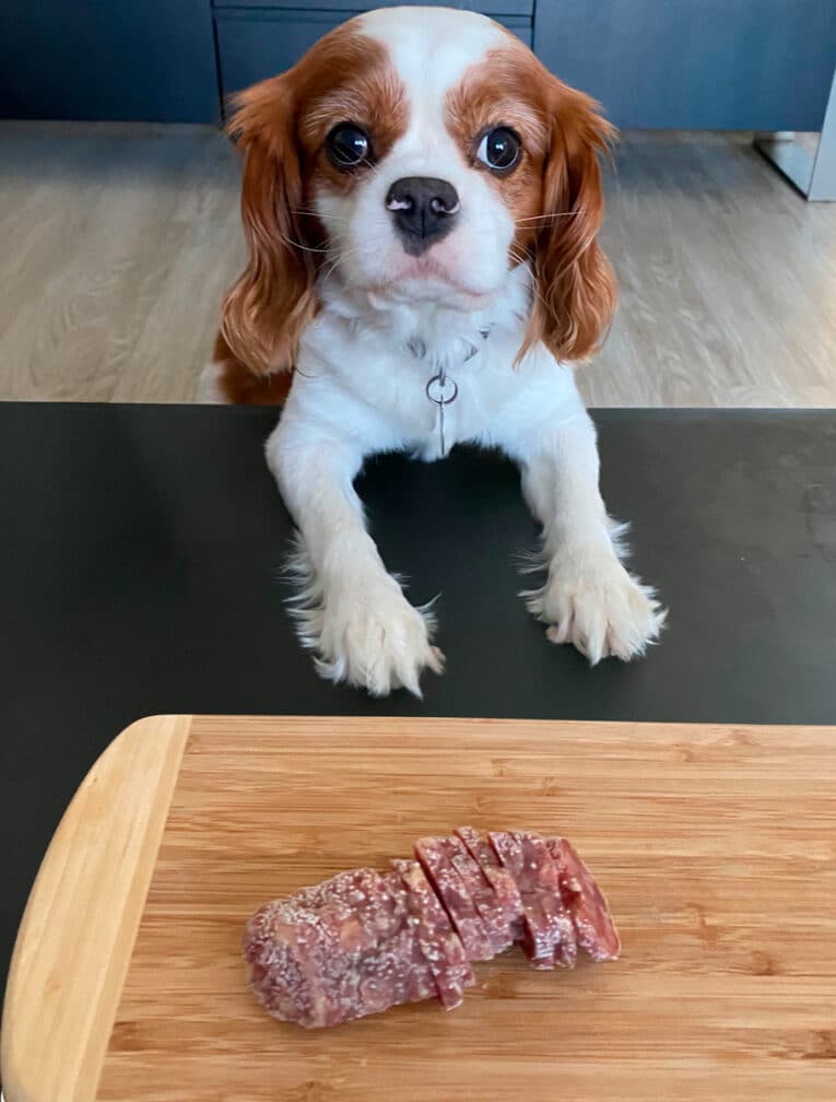 La Guía Eco-Friendly y Sostenible. sobre la DIETA BARF (Biologically Appropriate Raw Food) para perros por sus beneficios naturales.