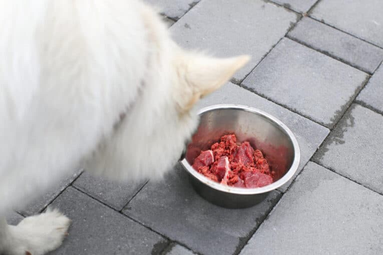 Cómo Cambiar del Pienso a la Dieta Cruda para Perros Sin Provocar Diarreas